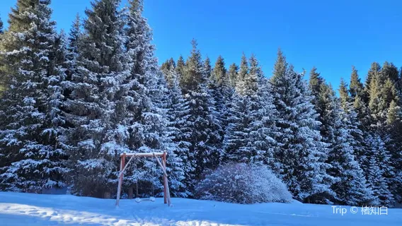Miao'ergou Waterfall Sceneic Area