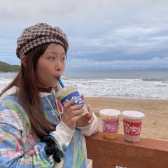 南澳島打卡果汁冰公司張用戶圖片