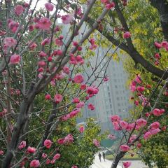 金福海鲜饭店(新港城店) User Photo