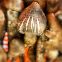 Baihuoling Mushroom King Mansion User Photo