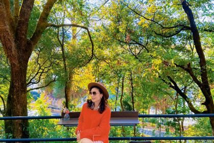 鸟鸣涧野生菌森林餐厅