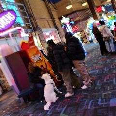 Rainforest Cafe Niagara Falls User Photo