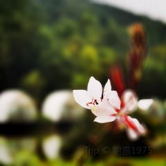 鲜道幸福里(重庆路店) User Photo