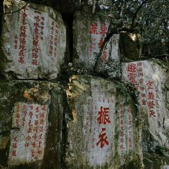 Tsuzumi User Photo