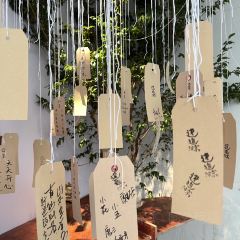 倉北文旅·小酒館咖啡張用戶圖片