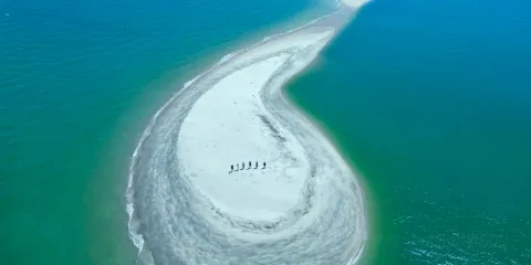 揚帆大道