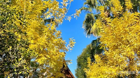 Sawadeeka Spa Resort