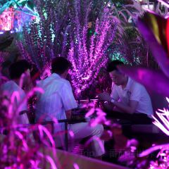 贰麻酒馆(金山斗酒场店) User Photo