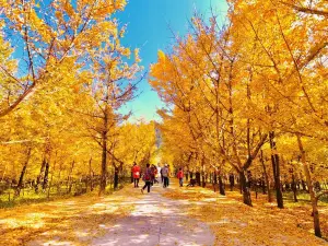Heshun Ancient Town
