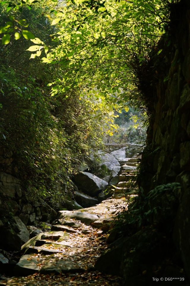 冠佩村