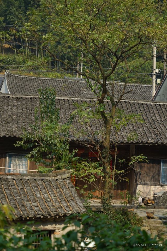 冠佩村