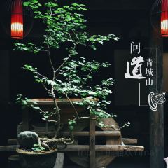 青山小厨土菜馆(青城山店) 여행 사진