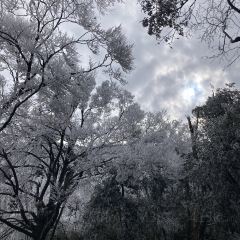 莽山天台山美食 User Photo