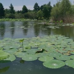 邻里印象 여행 사진