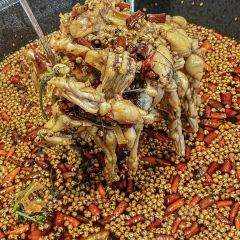 冯得喜美蛙肥肠鱼火锅(大学城店) User Photo