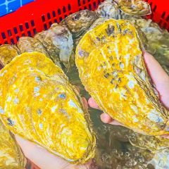 吉品·鮑魚雞煲（麥地店）張用戶圖片