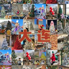 AMANO安漫諾飯店 （大連星海廣場店）·安漫諾海景餐吧張用戶圖片