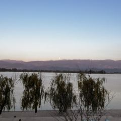 櫻花屋音樂餐吧張用戶圖片