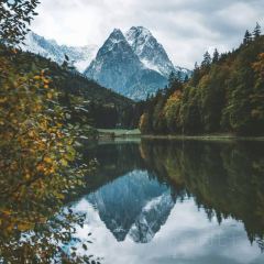 Pfälzer Wald Stub'n User Photo