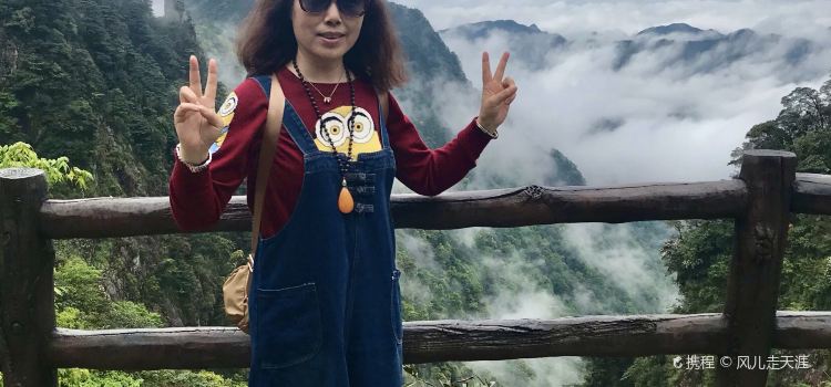 莽山天台山美食