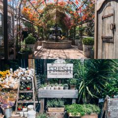 The Potting Shed at The Grounds User Photo