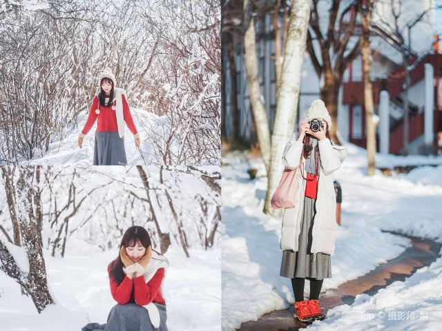 아사리