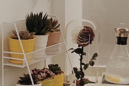 FINESTRA COFFEE咖啡窗(井大路店)