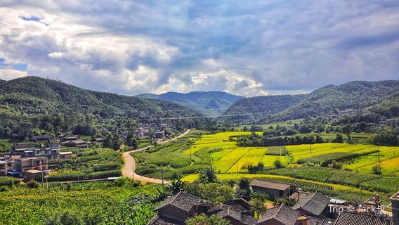 Lufeng Dinosaur Nation Geological Park Museum