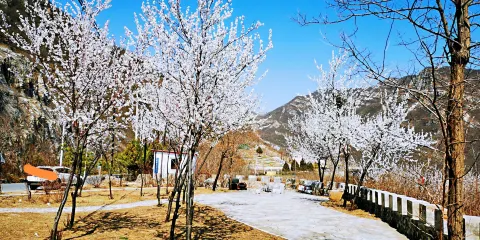 大楊山國家森林公園