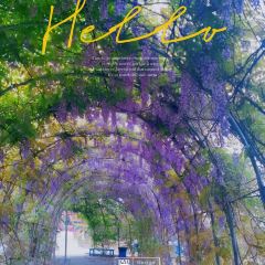 百花家园馨逸音乐餐厅 User Photo