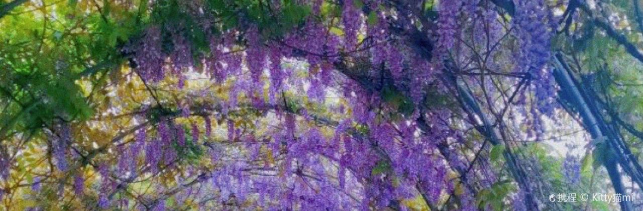 百花家园馨逸音乐餐厅