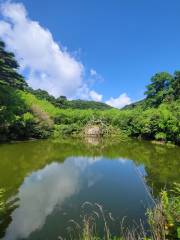 Sanqingfudi Sceneic Area