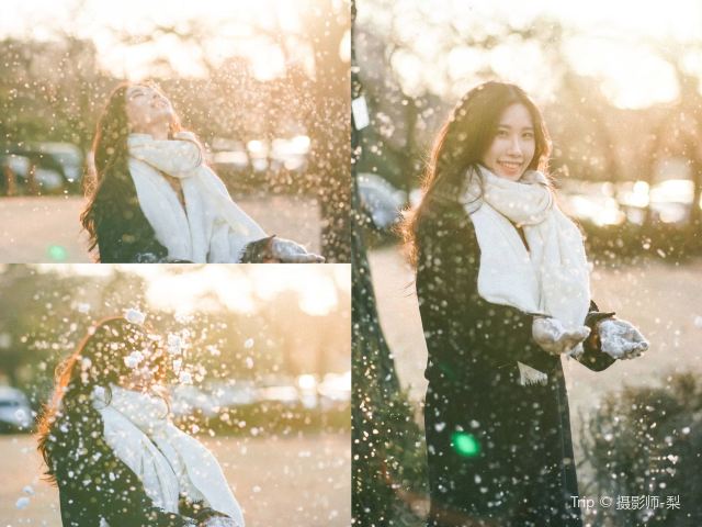 아사리