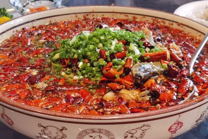 何老幺鲜鱼府(绵阳店)