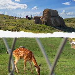仰天湖柴火饭馆 User Photo