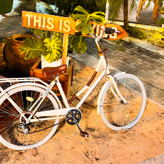 日落沙滩PARTY User Photo