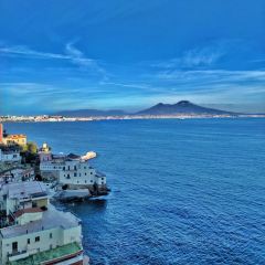 Trattoria Da Procida User Photo