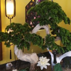 今朝桃花醉川菜小酒馆(贵和店) User Photo