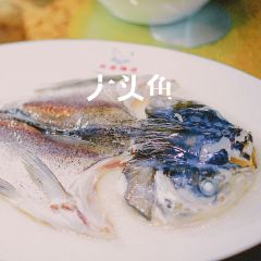 古龙渔庄 User Photo