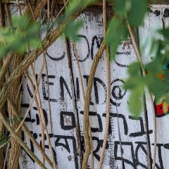 Fanpu Life User Photo