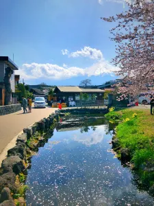 忍野八海名泉そば