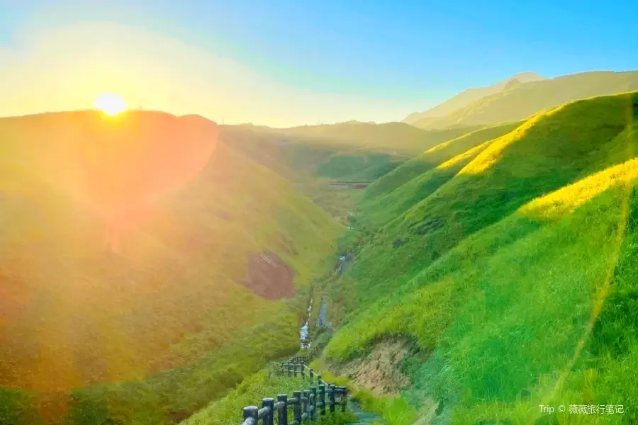 大姆山草場