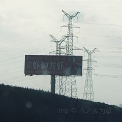 LOBSTER MONSTRE 여행 사진