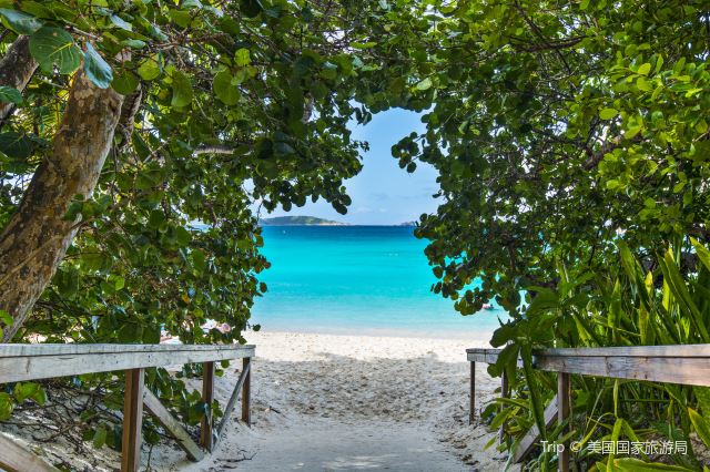 Trunk Bay