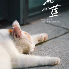 沁心莲(天地·北湖湾店) 여행 사진