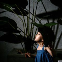 喜欢你时蛋糕甜品 User Photo