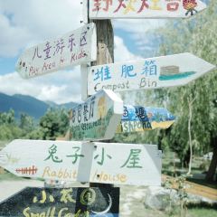 万物生农场餐厅 User Photo