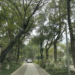 走马楼溪上 User Photo