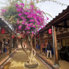 竹園農家飯店張用戶圖片