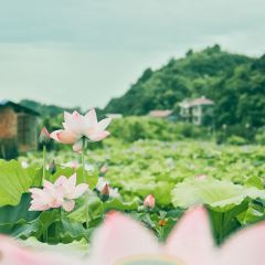 Shibaluohanshan User Photo